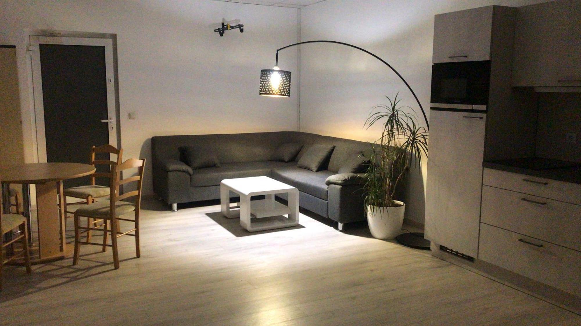 Grosse & Voll Ausgestattete Apartments, Studios, Doppelzimmer, Workspace, Parkplatz, Netflix, Prime & Schnelles Wifi In Ruhiger Lage Mit Garten Rudolstadt Dış mekan fotoğraf