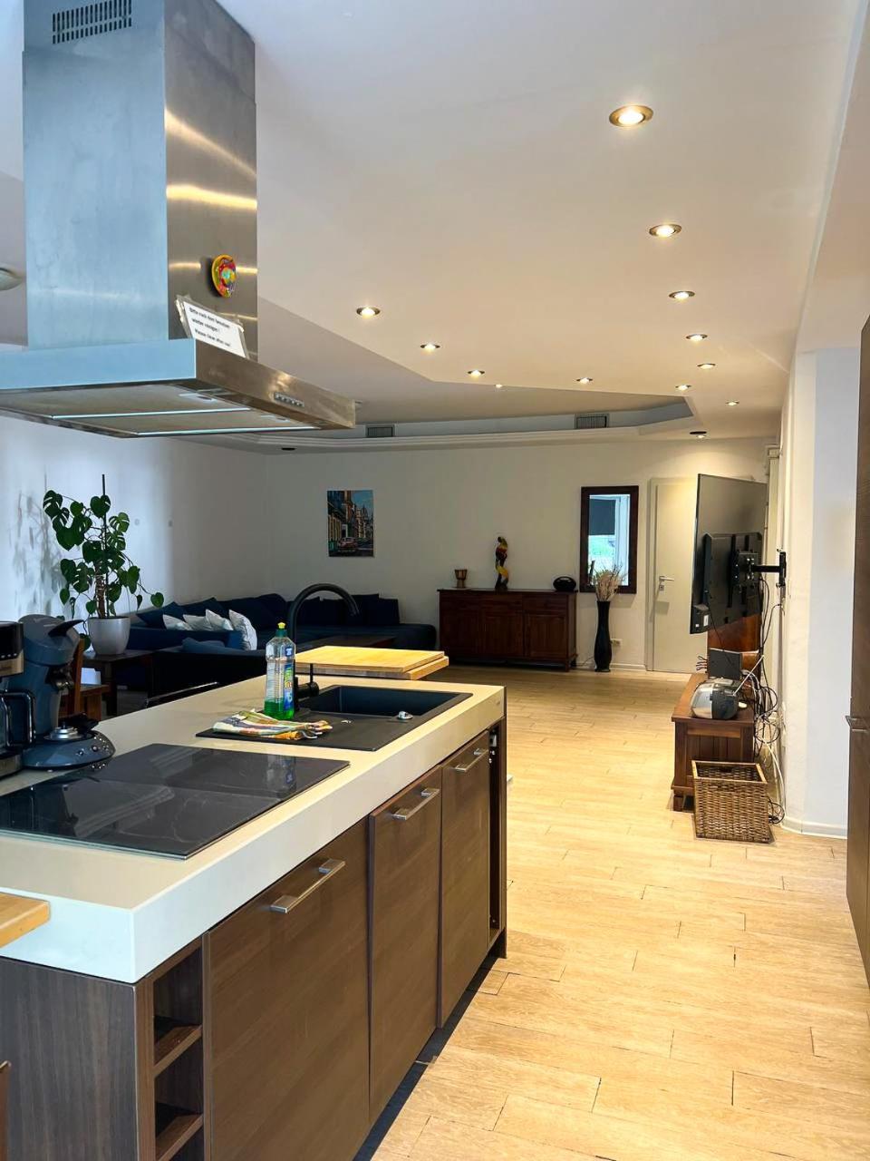 Grosse & Voll Ausgestattete Apartments, Studios, Doppelzimmer, Workspace, Parkplatz, Netflix, Prime & Schnelles Wifi In Ruhiger Lage Mit Garten Rudolstadt Dış mekan fotoğraf